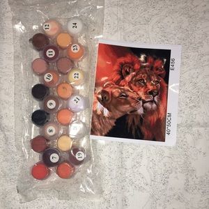 Acrylic paint canvas paint by number